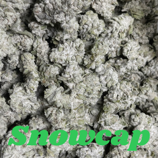 snowcap cannabis, the white
